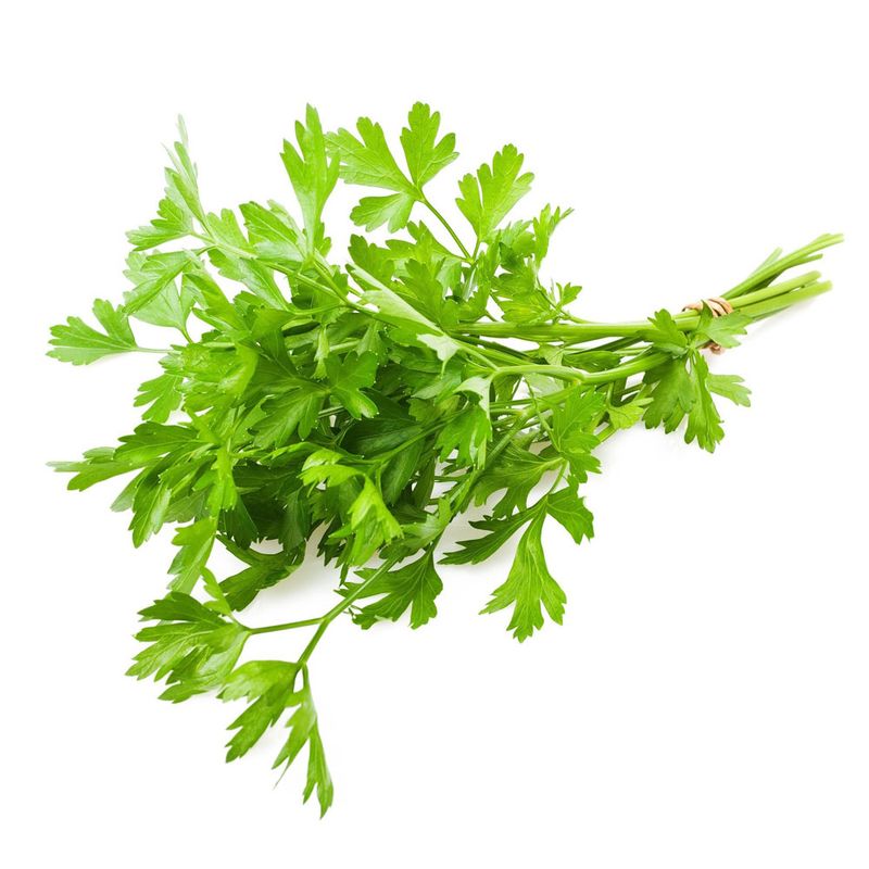 SALSA-UN--------------------------------