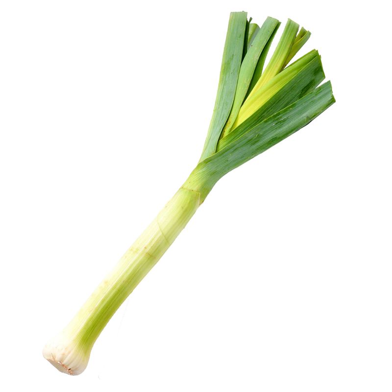 ALHO-PORRO-UN---------------------------