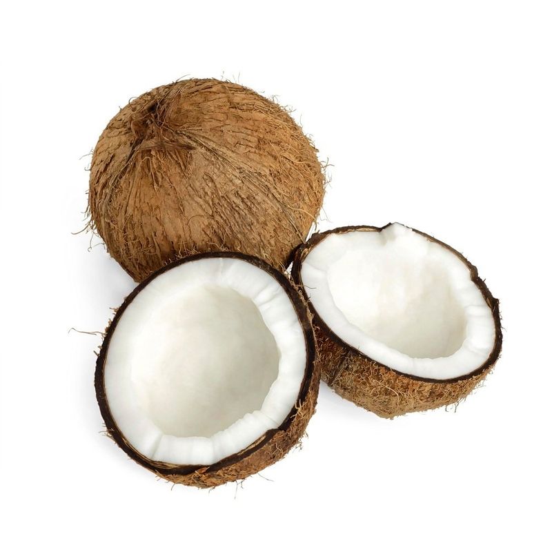 COCO-SECO-KG----------------------------