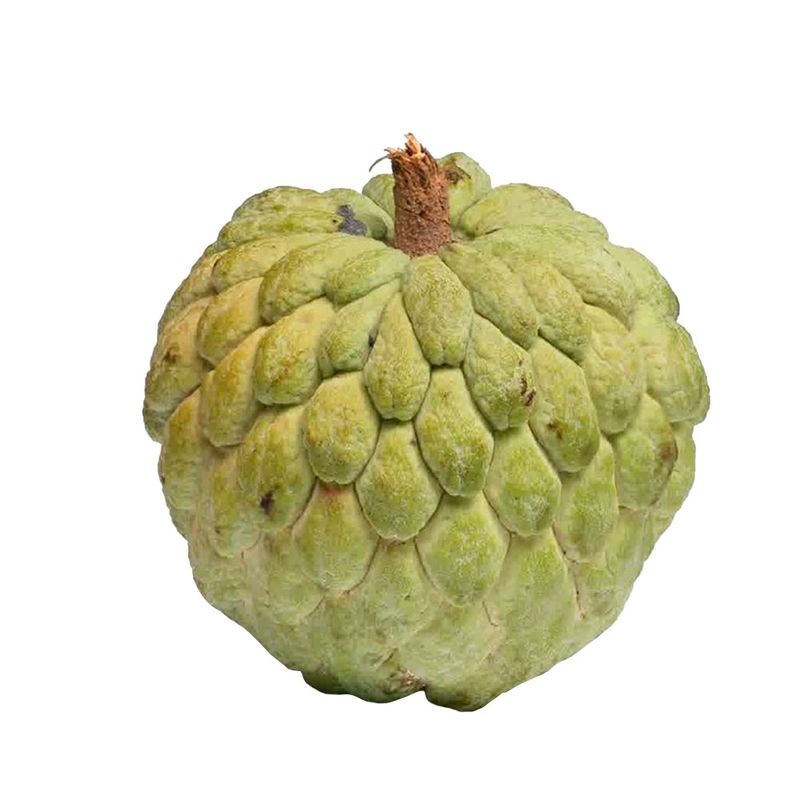 PINHA-1-UNIDADE-380G