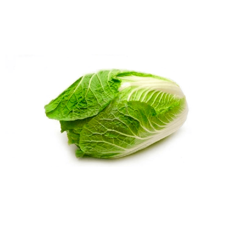 ACELGA-KG-