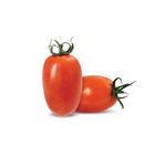 TOMATE-RASTEIRO-1-UNIDADE-190G