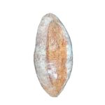 PAO-FILAO-ITALIANO-INTEGRAL-RUSTICO-1-UNIDADE-380G