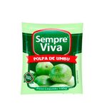 POLPA-SEMPRE-VIVA-UMBU-100G