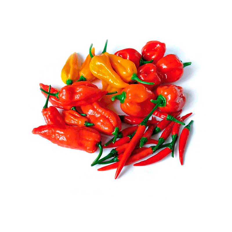 MIX-PIMENTA-1-UNIDADE-100G
