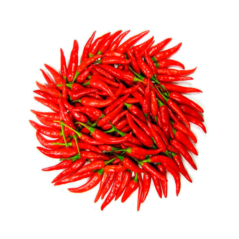 PIMENTA-MALAGUETA-BANDEJA-100G