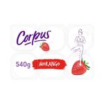 21827f5bbae16f6bb8382fe2b9e5545f_iogurte-polpa-sem-lactose-corpus-morango-540g_lett_1