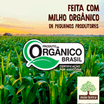 Snacks-Pipoca-Mae-Terra-Acucar-Coco-40g