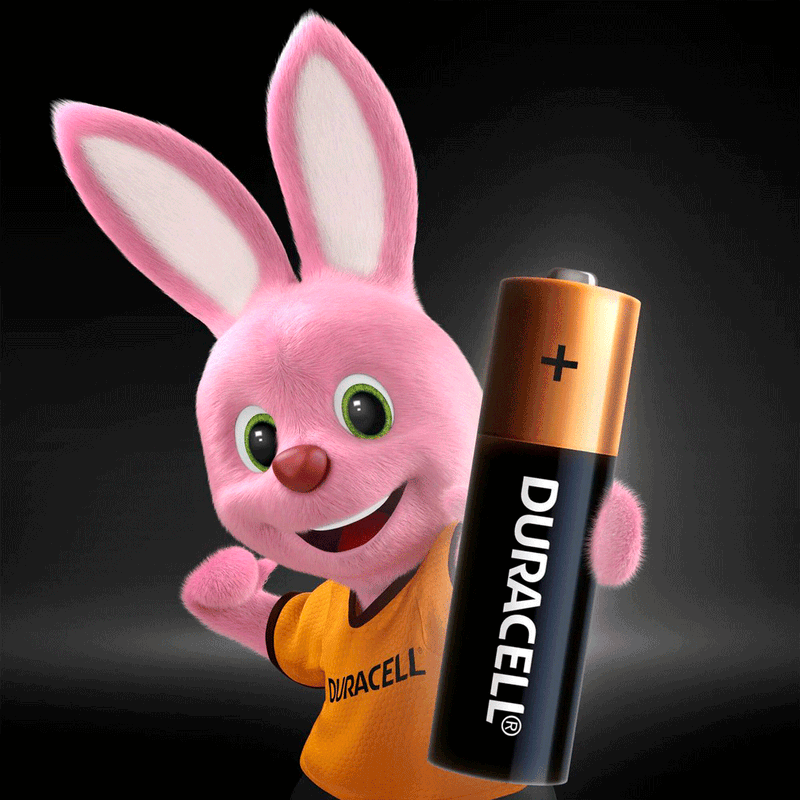 Pilha-Duracell-Aa-C4