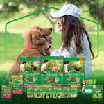 7891000244722---NESTLE®-PURINA®-DOG-CHOW®-ExtraLife®-Racao-Umida-para-Caes-Adultos-Minis---Pequenos-Salmao-100g---1.jpg