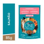 7891000332382---PURINA-ONE-Gato-Superfoods-15x85g-BR.jpg