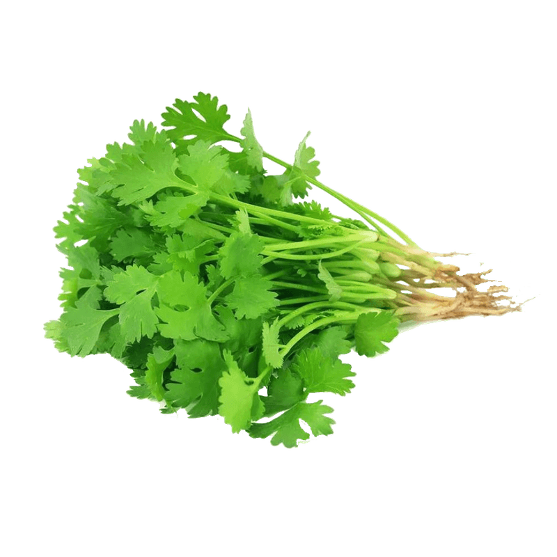 4626