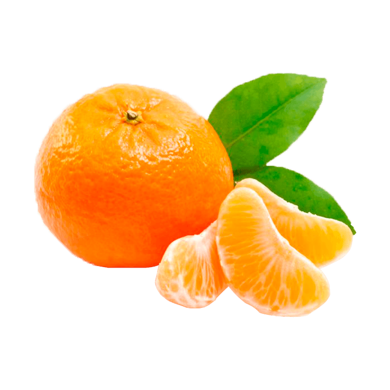 3605