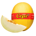 5193
