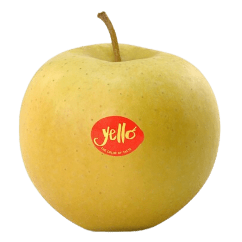 3595.png