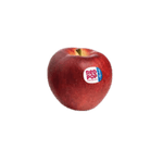 VTEX -1000 x 1000 px- -2-.png