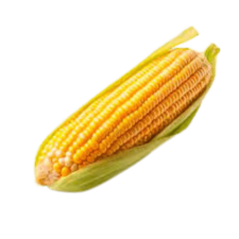 VTEX -1000 x 1000 px-.png