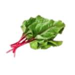 VTEX -1000 x 1000 px- -2-.png
