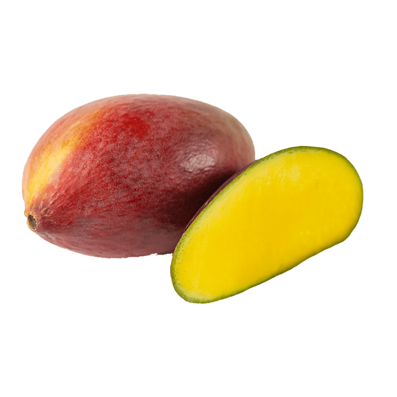 15237