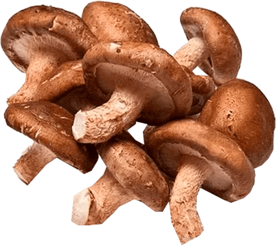 COGUMELO SHITAKE 200G